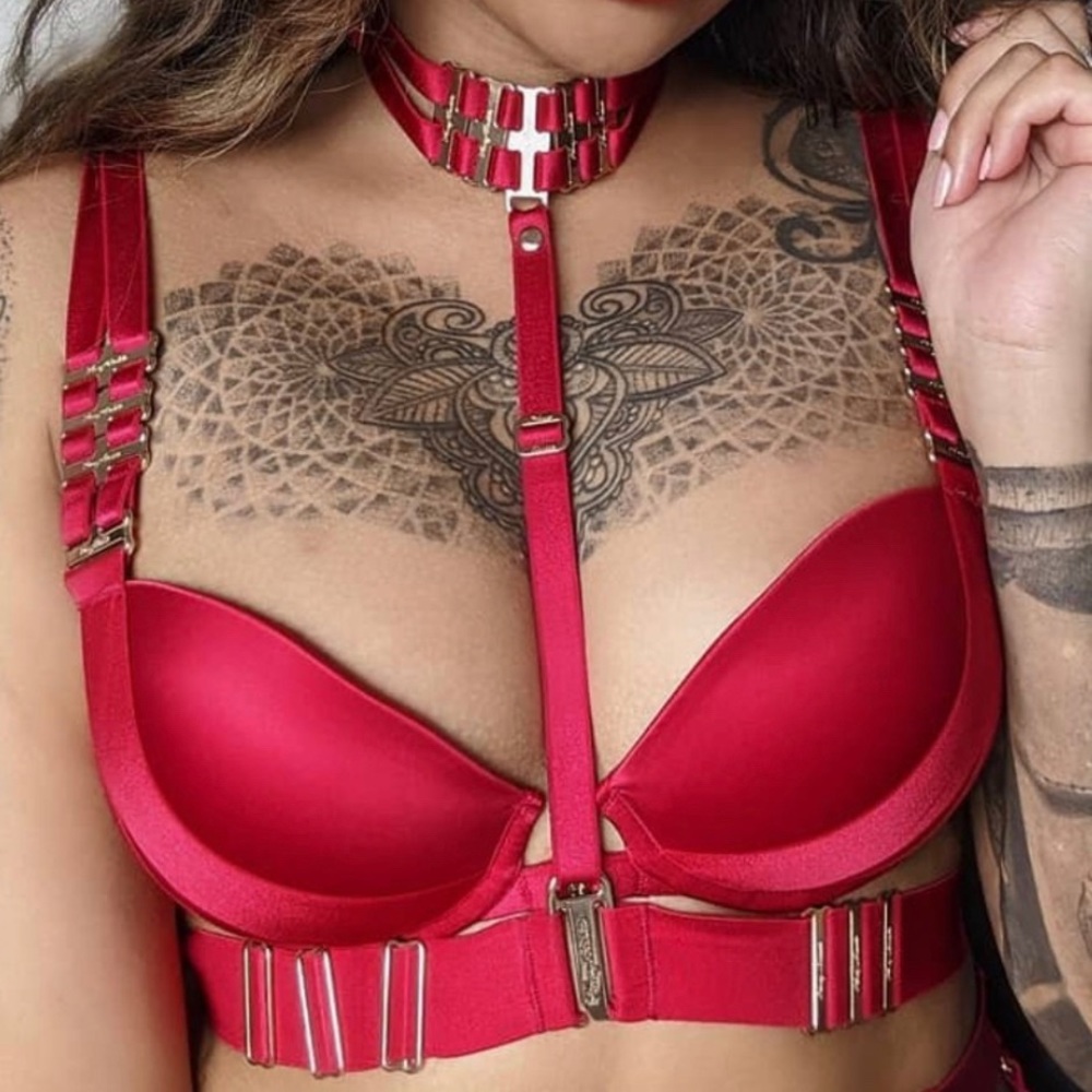 ISO Samantha red bra in 34b or 34a